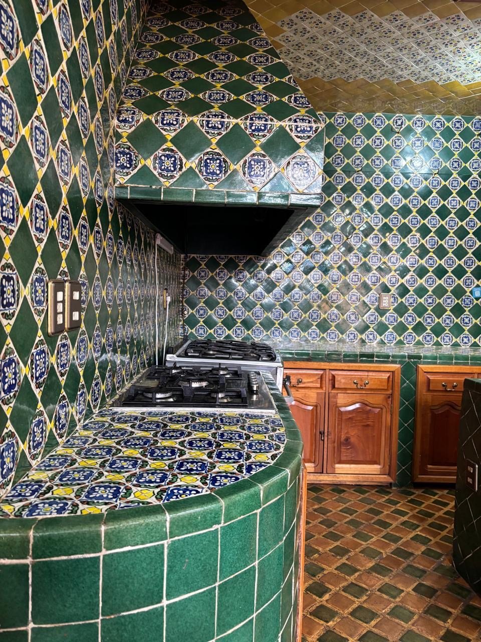 Fogón y campana
